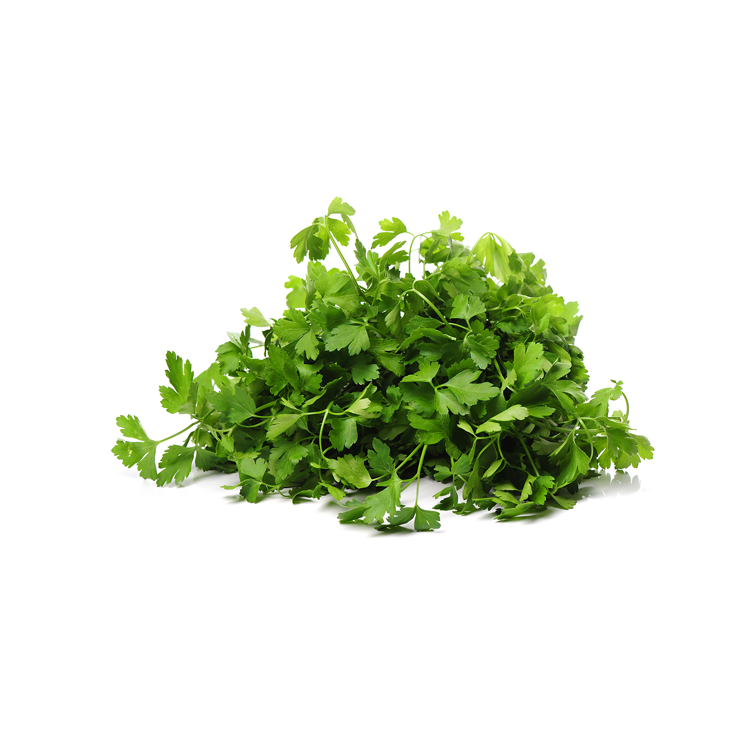 CORRIANDER LEAVES 100G Green Mart